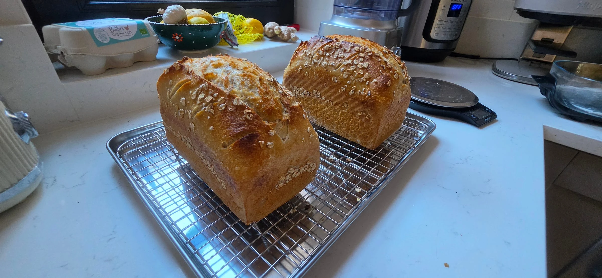 Two freshly baked sourdough loaves topped with oats, cooling on a wire rack